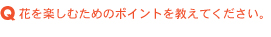 花を楽しむためのポイントを教えてください。